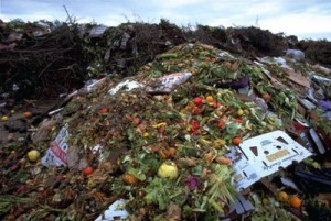 Вторая жизнь пищевых отходов